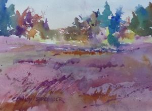 Waldoboro Blueberry Barrens by Cindy Spencer.jpg