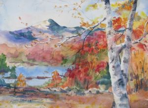 Birches at Chocorua